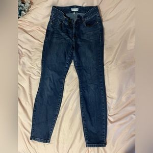 Lane Bryant jeans 12